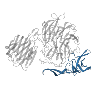The deposited structure of PDB entry 4fow contains 1 copy of CATH domain 2.40.220.10 (Intramolecular trans-sialidase; domain 3) in Sialidase B. Showing 1 copy in chain A.