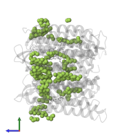 1-[2,6,10.14-TETRAMETHYL-HEXADECAN-16-YL]-2-[2,10,14-TRIMETHYLHEXADECAN-16-YL]GLYCEROL in PDB entry 4fpd, assembly 1, side view.