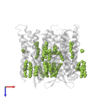 1-[2,6,10.14-TETRAMETHYL-HEXADECAN-16-YL]-2-[2,10,14-TRIMETHYLHEXADECAN-16-YL]GLYCEROL in PDB entry 4fpd, assembly 1, top view.