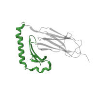 The deposited structure of PDB entry 4fqx contains 1 copy of Pfam domain PF00993 (Class II histocompatibility antigen, alpha domain) in HLA class II histocompatibility antigen, DM alpha chain. Showing 1 copy in chain A [auth C].