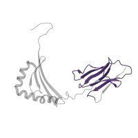 The deposited structure of PDB entry 4fqx contains 1 copy of Pfam domain PF07654 (Immunoglobulin C1-set domain) in HLA class II histocompatibility antigen, DRB1 beta chain. Showing 1 copy in chain E [auth B].