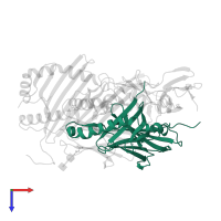 HLA class II histocompatibility antigen, DM alpha chain in PDB entry 4fqx, assembly 1, top view.