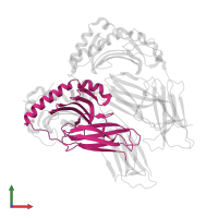 HLA class II histocompatibility antigen, DR alpha chain in PDB entry 4fqx, assembly 1, front view.