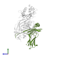 HLA class II histocompatibility antigen, DRB1 beta chain in PDB entry 4fqx, assembly 1, side view.