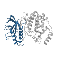 The deposited structure of PDB entry 4fux contains 1 copy of CATH domain 3.30.200.20 (Phosphorylase Kinase; domain 1) in Mitogen-activated protein kinase 1. Showing 1 copy in chain A.