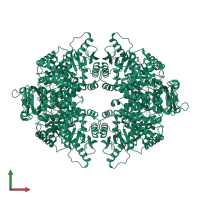 Pyruvate kinase PKM in PDB entry 4fxf, assembly 1, front view.