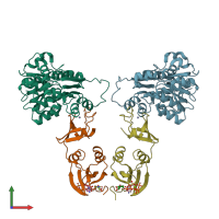 PDB entry 4fyy coloured by chain, front view.