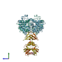 PDB entry 4fyy coloured by chain, side view.