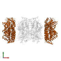 1,2-epoxyphenylacetyl-CoA isomerase in PDB entry 4fzw, assembly 1, front view.