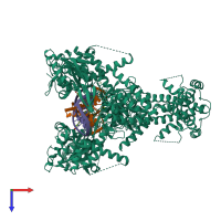 Hetero hexameric assembly 1 of PDB entry 4g0w coloured by chemically distinct molecules, top view.