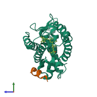 PDB entry 4g20 coloured by chain, side view.