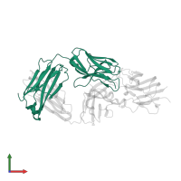 infliximab Fab L in PDB entry 4g3y, assembly 2, front view.