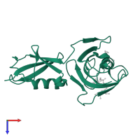 Peptidyl-prolyl cis-trans isomerase in PDB entry 4g50, assembly 2, top view.