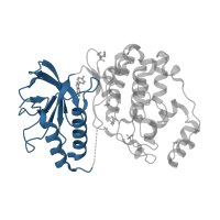 The deposited structure of PDB entry 4g6n contains 1 copy of CATH domain 3.30.200.20 (Phosphorylase Kinase; domain 1) in Mitogen-activated protein kinase 1. Showing 1 copy in chain A.