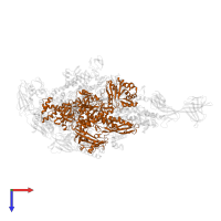 DNA-directed RNA polymerase subunit beta in PDB entry 4g7h, assembly 1, top view.