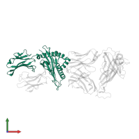 HLA class I histocompatibility antigen, B alpha chain in PDB entry 4g9f, assembly 1, front view.