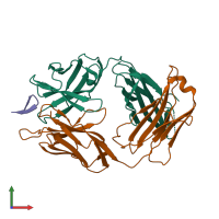 PDB entry 4gaj coloured by chain, front view.
