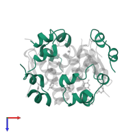 Insulin A chain in PDB entry 4gbl, assembly 1, top view.