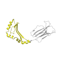 The deposited structure of PDB entry 4gbx contains 1 copy of CATH domain 3.10.320.10 (Class II Histocompatibility Antigen, M Beta Chain; Chain B, domain 1) in HLA class II histocompatibility antigen, DM beta chain. Showing 1 copy in chain B [auth D].