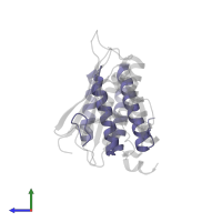 DNA repair protein REV1 in PDB entry 4gk0, assembly 1, side view.