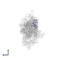 Small ribosomal subunit protein uS3 in PDB entry 4gkk, assembly 1, side view.