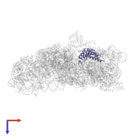 Small ribosomal subunit protein uS3 in PDB entry 4gkk, assembly 1, top view.