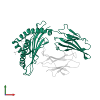 HLA class I histocompatibility antigen, A alpha chain in PDB entry 4gkn, assembly 1, front view.