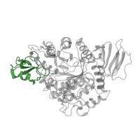 The deposited structure of PDB entry 4go9 contains 2 copies of CATH domain 3.90.400.10 (Oligo-1,6-glucosidase; domain 2) in Glycosyl hydrolase family 13 catalytic domain-containing protein. Showing 1 copy in chain A.