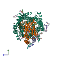 PDB entry 4gp5 coloured by chain, side view.