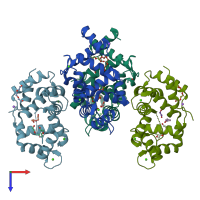 PDB entry 4guk coloured by chain, top view.