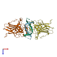 PDB entry 4guq coloured by chain, top view.