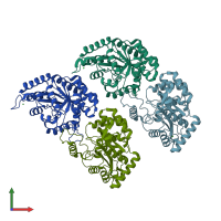 PDB entry 4gx8 coloured by chain, front view.