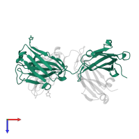 Antibody 1F1, heavy chain in PDB entry 4gxv, assembly 1, top view.