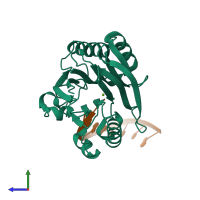 Hetero dimeric assembly 2 of PDB entry 4gz1 coloured by chemically distinct molecules, side view.