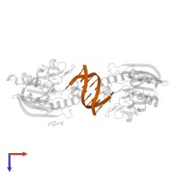 DNA (5'-D(P*CP*CP*GP*AP*AP*TP*TP*CP*G)-3') in PDB entry 4gz1, assembly 3, top view.