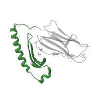 The deposited structure of PDB entry 4h25 contains 2 copies of Pfam domain PF00993 (Class II histocompatibility antigen, alpha domain) in HLA class II histocompatibility antigen, DR alpha chain. Showing 1 copy in chain A.