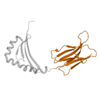 The deposited structure of PDB entry 4h25 contains 2 copies of CATH domain 2.60.40.10 (Immunoglobulin-like) in Ig-like domain-containing protein. Showing 1 copy in chain B.