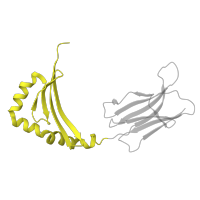 The deposited structure of PDB entry 4h25 contains 2 copies of CATH domain 3.10.320.10 (Class II Histocompatibility Antigen, M Beta Chain; Chain B, domain 1) in Ig-like domain-containing protein. Showing 1 copy in chain B.