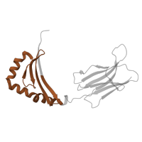 The deposited structure of PDB entry 4h25 contains 2 copies of Pfam domain PF00969 (Class II histocompatibility antigen, beta domain) in Ig-like domain-containing protein. Showing 1 copy in chain B.