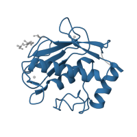 The deposited structure of PDB entry 4h49 contains 4 copies of Pfam domain PF00413 (Matrixin) in Macrophage metalloelastase. Showing 1 copy in chain A.