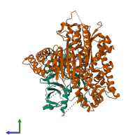 PDB entry 4h4k coloured by chain, side view.