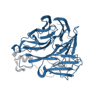 The deposited structure of PDB entry 4h53 contains 4 copies of Pfam domain PF00064 (Neuraminidase) in Neuraminidase. Showing 1 copy in chain A.
