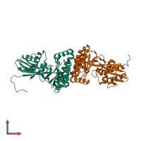 PDB entry 4hac coloured by chain, front view.