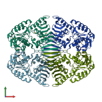 3D model of 4had from PDBe