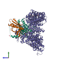 PDB entry 4hau coloured by chain, side view.