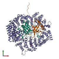 PDB entry 4hb2 coloured by chain, front view.