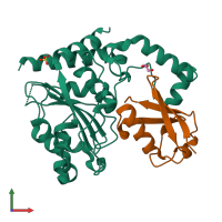PDB entry 4hcp coloured by chain, front view.