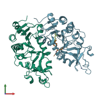 PDB entry 4hda coloured by chain, front view.