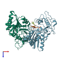 PDB entry 4hda coloured by chain, top view.