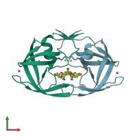 PDB entry 4hdp coloured by chain, front view.